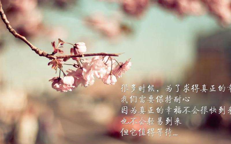 介绍萧敬腾在Facebook上发布的视频内容和活动